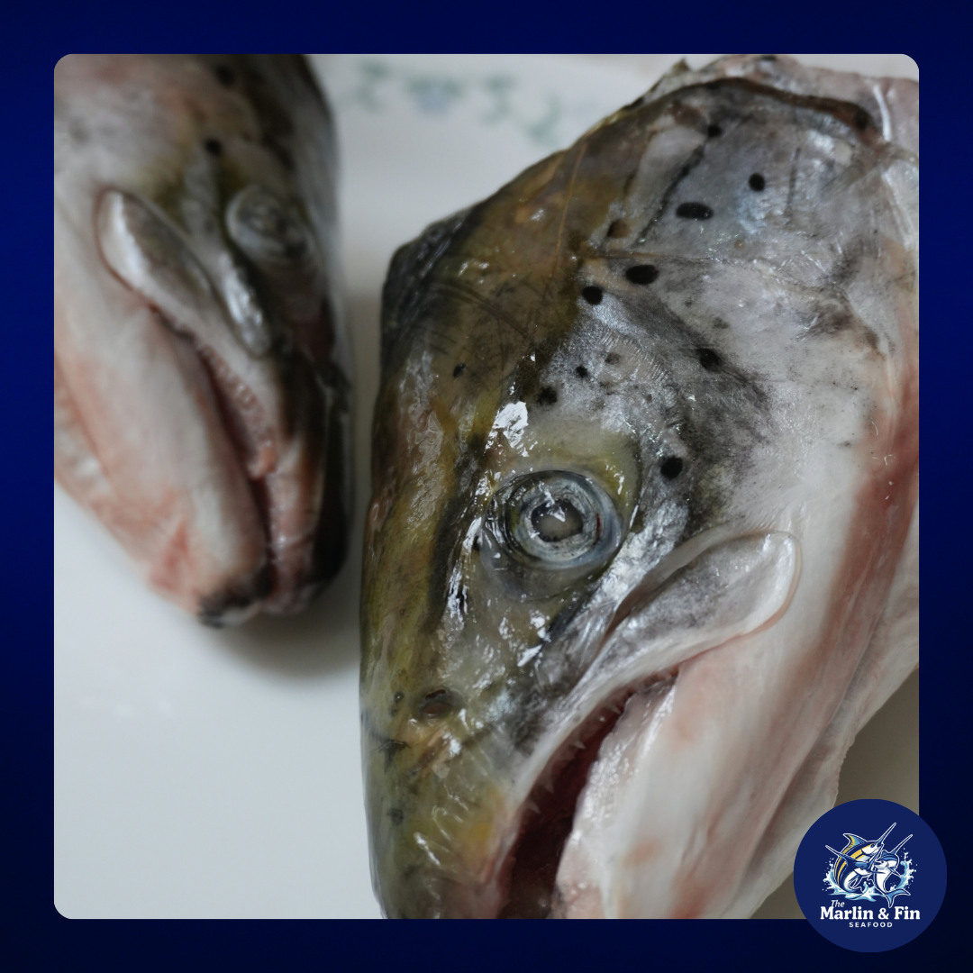 Salmon Head