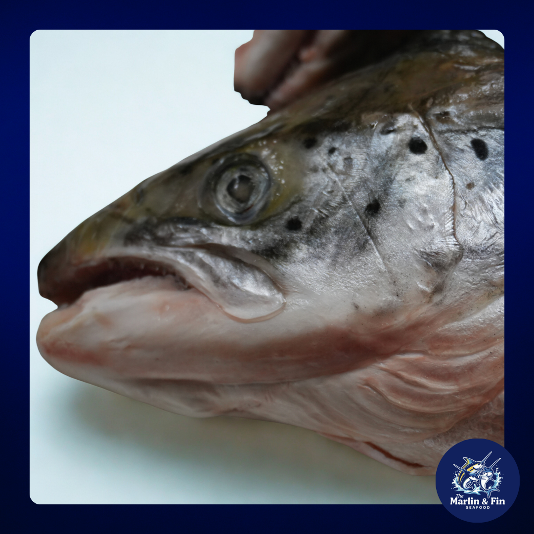 Salmon Head