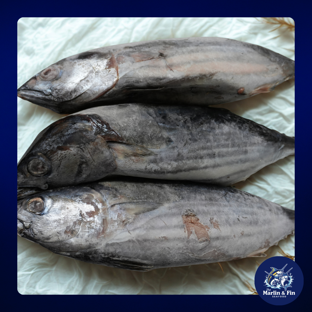 Tambakol (Yellowfin/Skipjack Tuna)