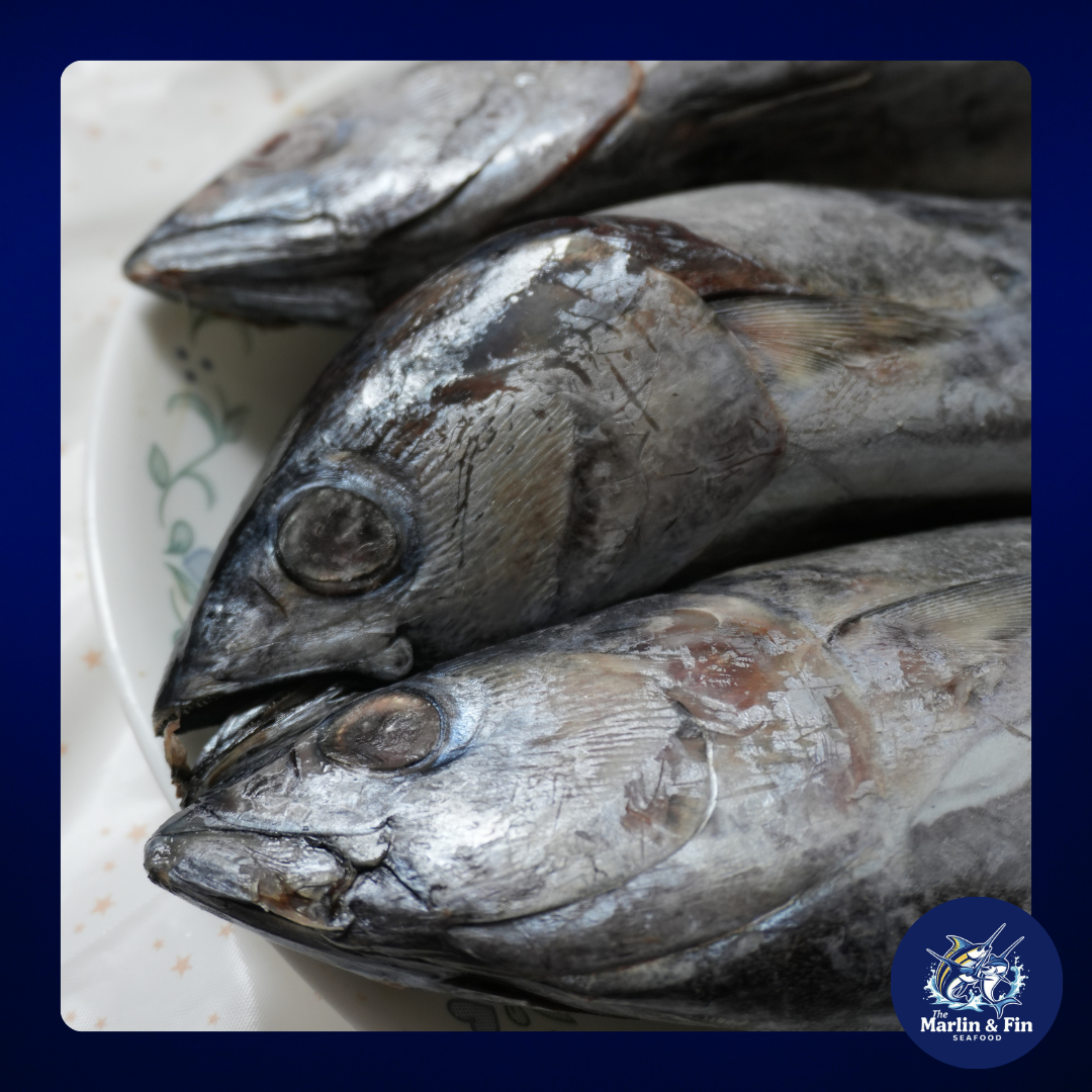 Tambakol (Yellowfin/Skipjack Tuna)